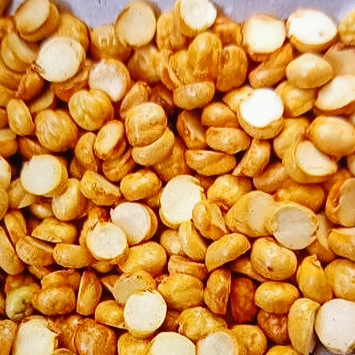  لپه نخودچی ممقان