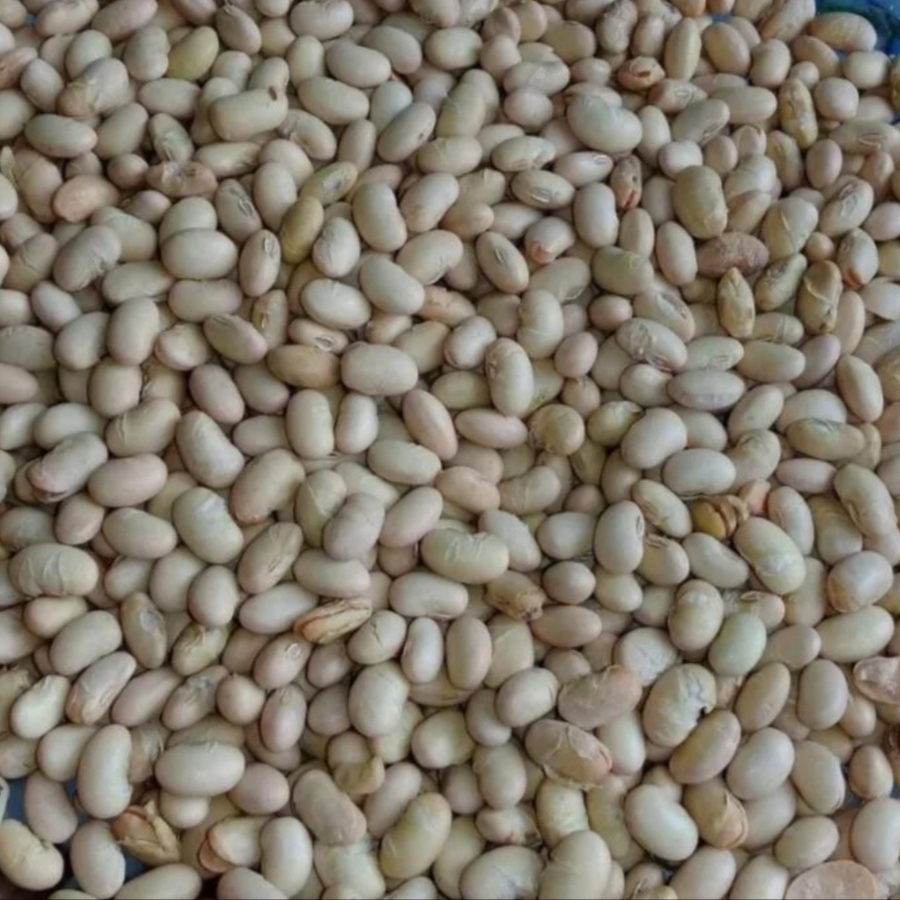 سویا اجیلی طعم دار آذرخش